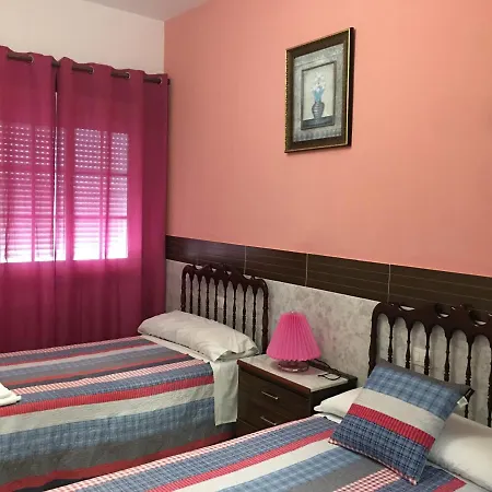 O Labrador 3*