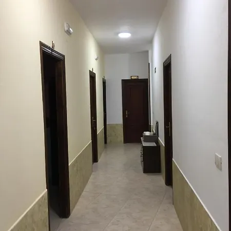 O Labrador 3* O Hospital